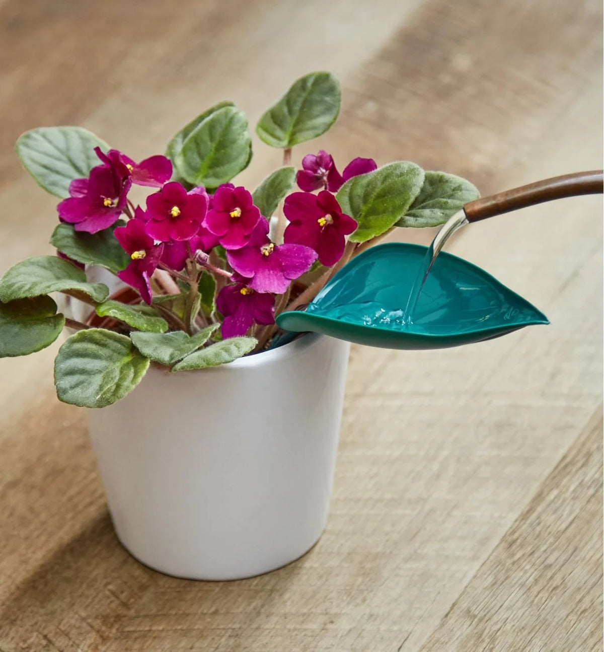 Leaf-Shaped Watering Funnel