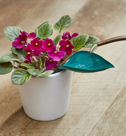Leaf-Shaped Watering Funnel