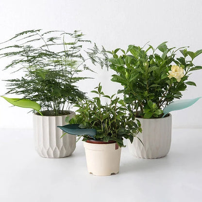 Leaf-Shaped Watering Funnel